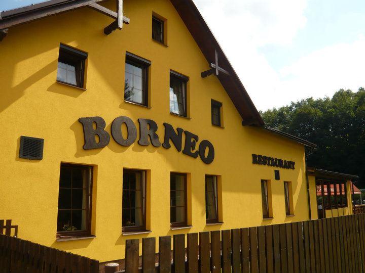 1 Borneo Mladé Buky a - kopie